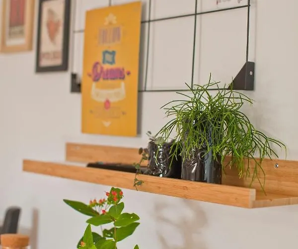 אכסניה 33 טרצ'ביניה