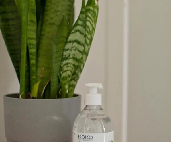 33 אכסניה טרצ'ביניה