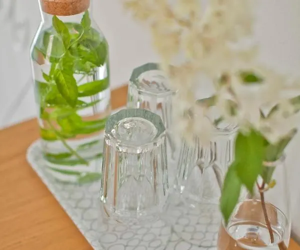 33 אכסניה טרצ'ביניה